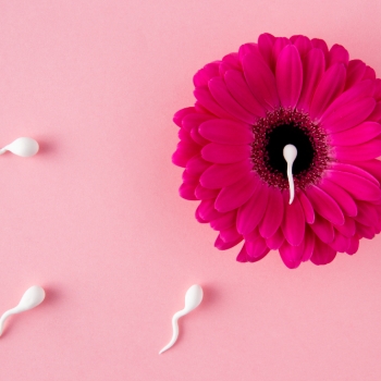 Cirurgia bariátrica e metabólica e fertilidade