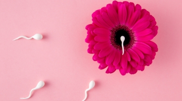 Cirurgia bariátrica e metabólica e fertilidade