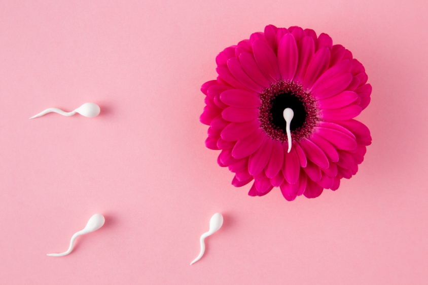 Cirurgia bariátrica e metabólica e fertilidade
